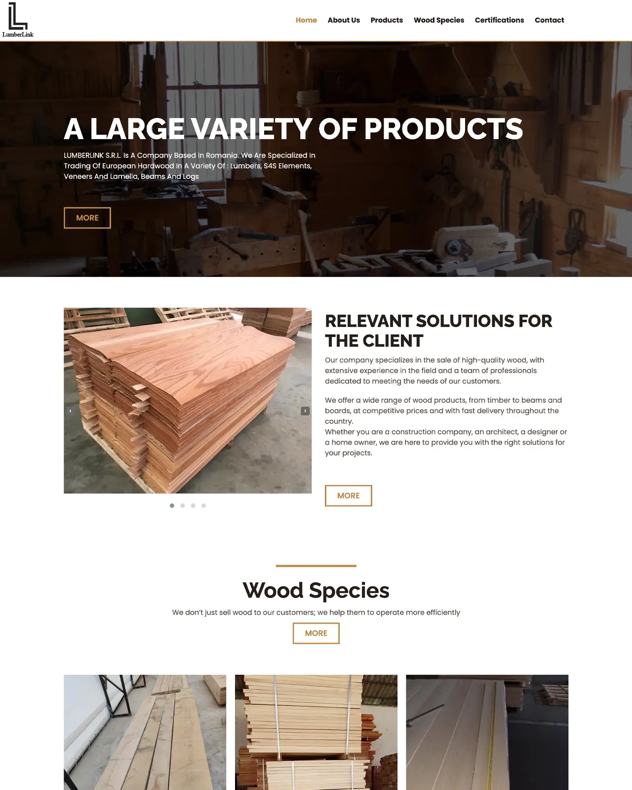 Identitate virtuala, Promovare google Ads, SEO, site de prezentare pret