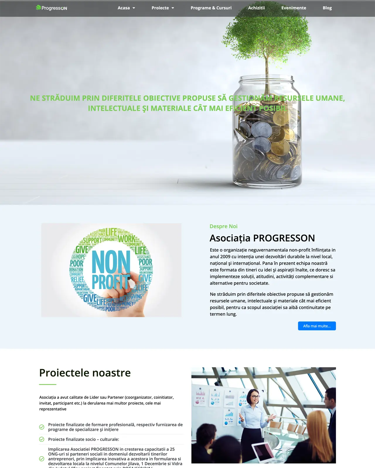 Identitate virtuala, Promovare google Ads, SEO, site de prezentare pret