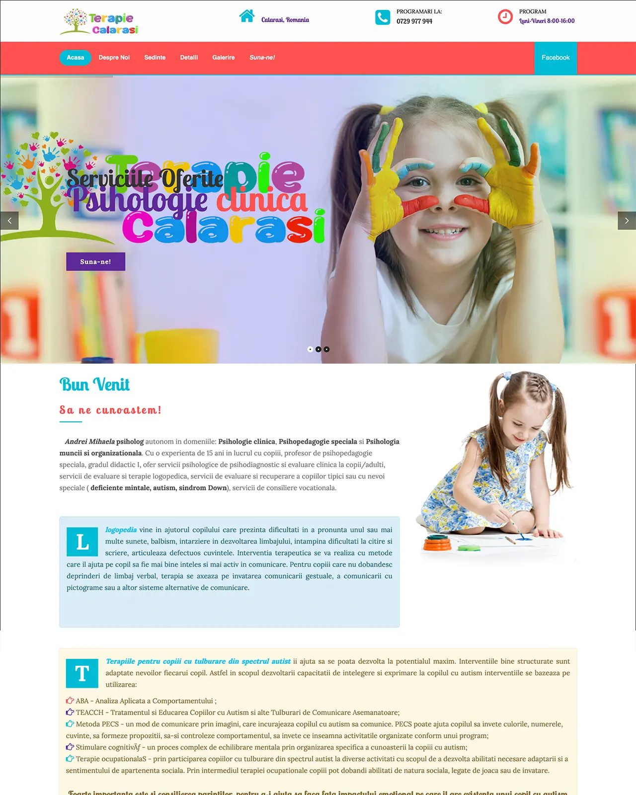 Identitate virtuala, Promovare google Ads, SEO, site de prezentare pret